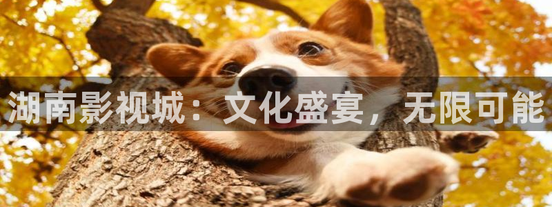 伦理影院草民