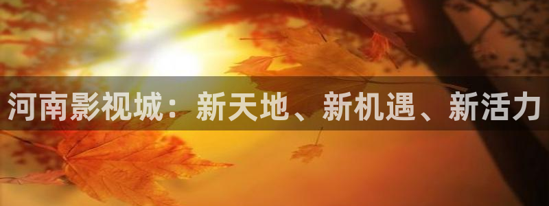 成人伦理视频在线观看