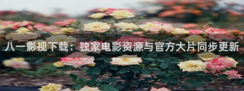 苹果伦理影院