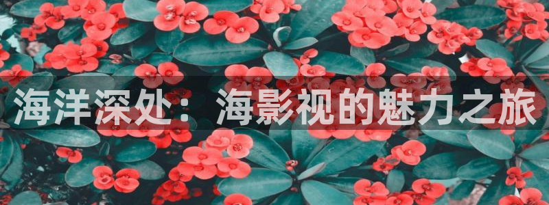 bd伦理影院