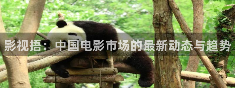 单县伦理影院