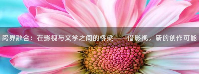 日本伦理视频观看
